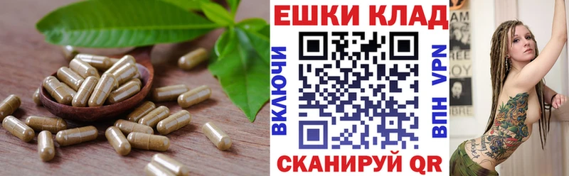 Экстази TESLA  Лодейное Поле 