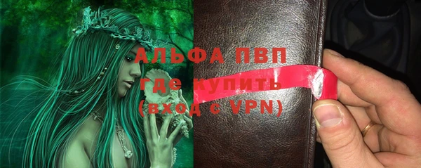 apvp Алзамай