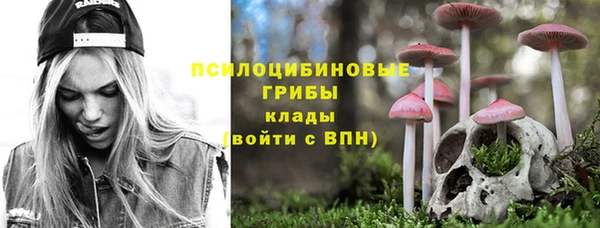 дживик Абинск