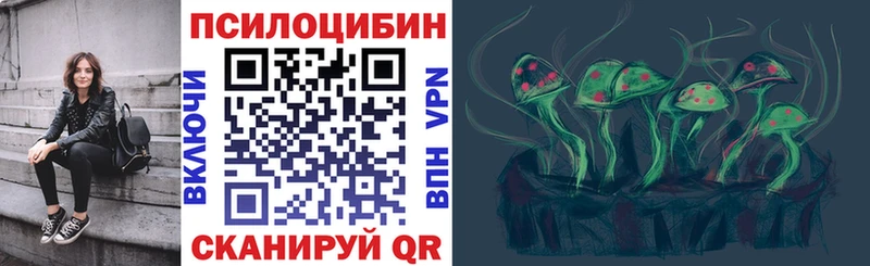 Псилоцибиновые грибы мицелий  закладки  мега маркетплейс  Лодейное Поле 
